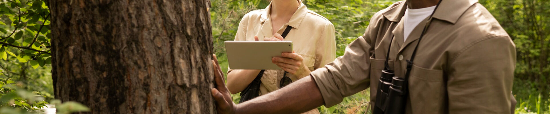El Rol de la Tecnología en la Conservación de la Vida Silvestre